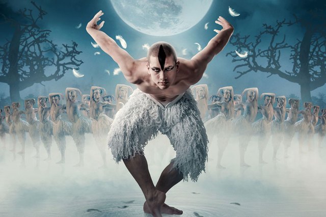 The artwork for Swan Lake, © New Adventures