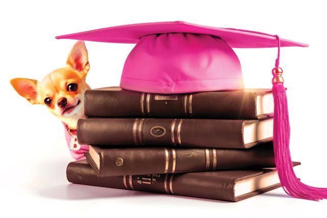 Legally Blonde artwork