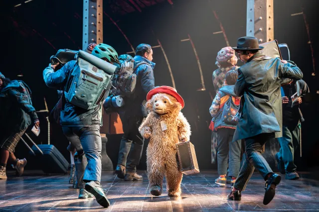 paddington design