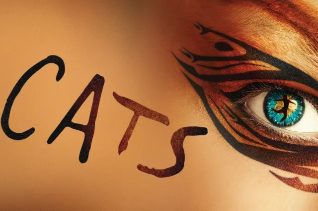 cats tour