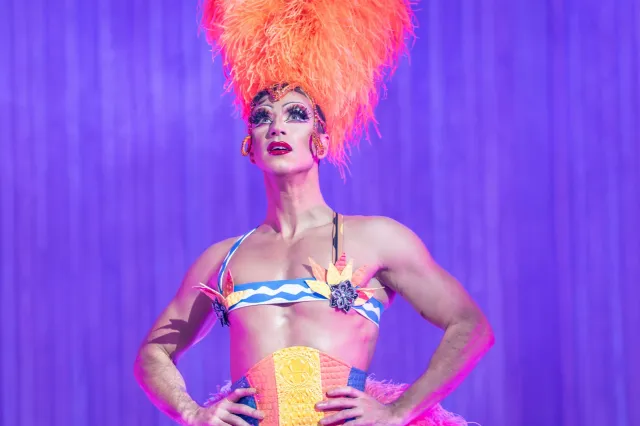 Nick Hayes dans Priscilla Reine du Désert