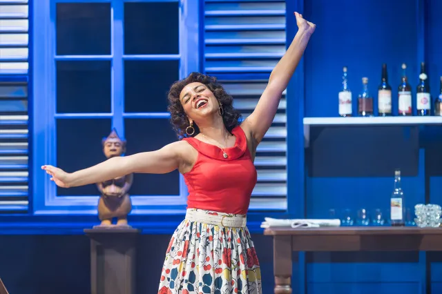 Cat White in Driftwood