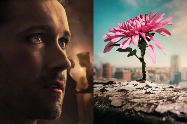 Oeuvre pour Sirens et pour The Secret Garden
