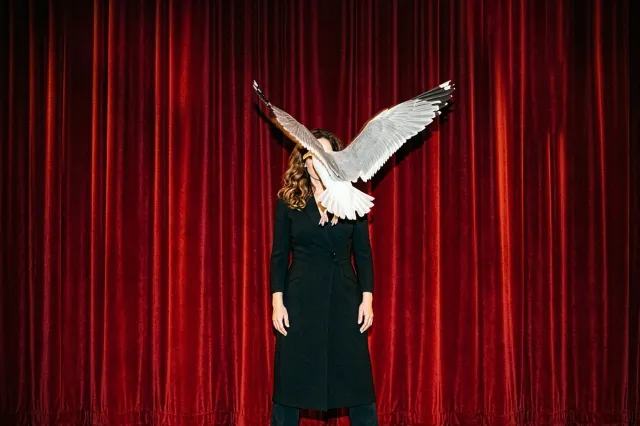 the seagull pohot