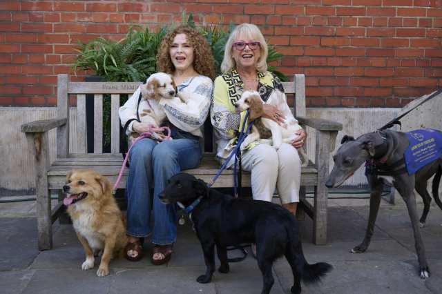 20. WEST END WOOFS 2026. Photo Credit Alan West