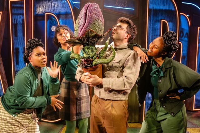 Seymour (Jed Berry) with Crystal (Psalsms Nissi Myers Reid), Chiffon (Rio Maye), Ronetta (Gabrielle Davina Smith) Photo Danny Kaan
