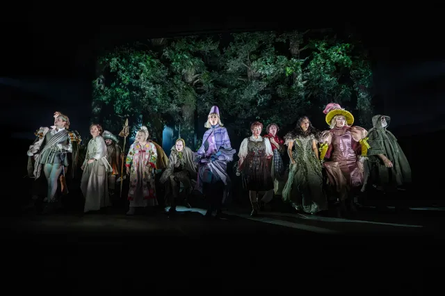 The cast of Into the Woods